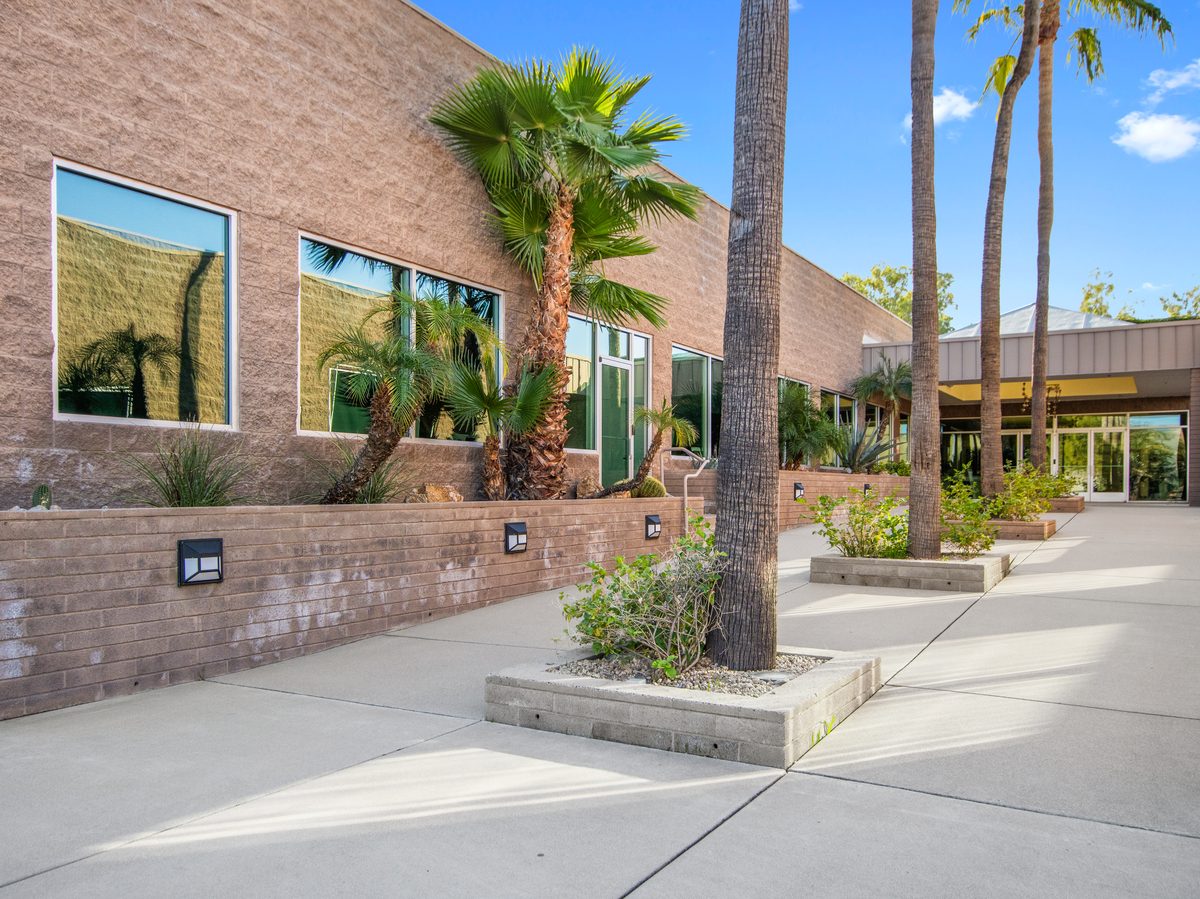 Courtyard walk with palms
